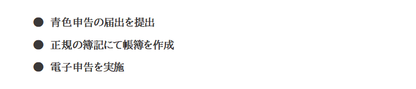 青色申告の届出を提出・正規の簿記にて帳簿を作成・電子申告を実施